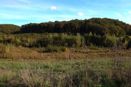 Non lieu – Olivier Coulon-Jablonka, Sima Khatami